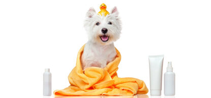 A Guide to Plastic Packaging for Pet Care Products